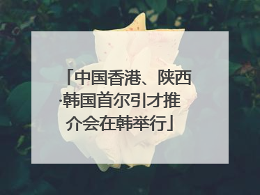 中国香港、陕西·韩国首尔引才推介会在韩举行