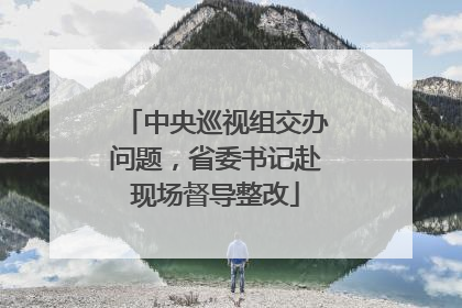 中央巡视组交办问题，省委书记赴现场督导整改