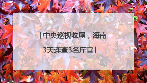 中央巡视收尾，海南3天连查3名厅官