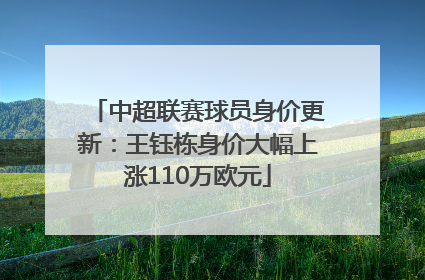 中超联赛球员身价更新：王钰栋身价大幅上涨110万欧元