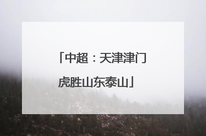 中超：天津津门虎胜山东泰山