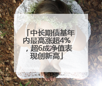 中长期债基年内最高涨超4%，超6成净值表现创新高