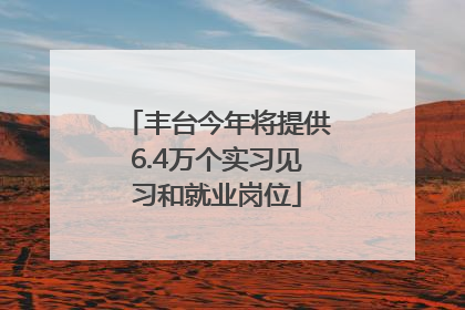 丰台今年将提供6.4万个实习见习和就业岗位