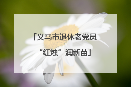 义马市退休老党员“红烛”润新苗