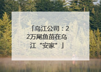 乌江公司：22万尾鱼苗在乌江“安家”