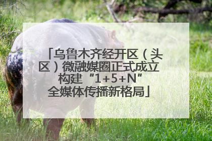 乌鲁木齐经开区（头区）微融媒圈正式成立 构建“1+5+N”全媒体传播新格局