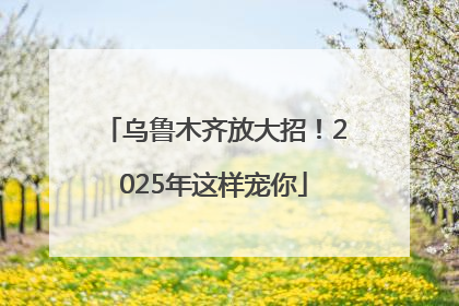 乌鲁木齐放大招！2025年这样宠你