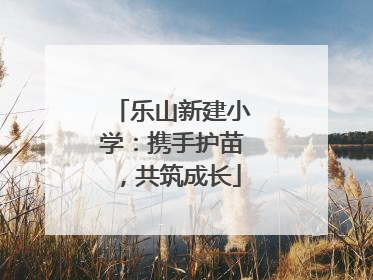 乐山新建小学：携手护苗，共筑成长