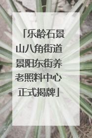 乐龄石景山八角街道景阳东街养老照料中心正式揭牌
