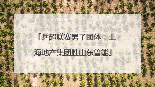 乒超联赛男子团体：上海地产集团胜山东鲁能
