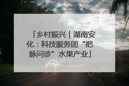 乡村振兴｜湖南安化：科技服务团“把脉问诊”水果产业