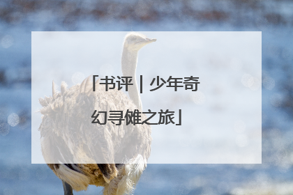 书评｜少年奇幻寻傩之旅