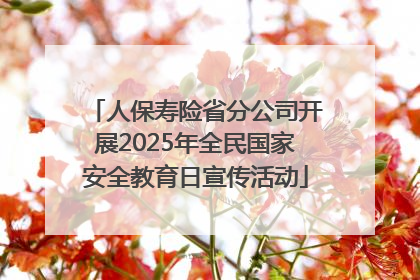 人保寿险省分公司开展2025年全民国家安全教育日宣传活动