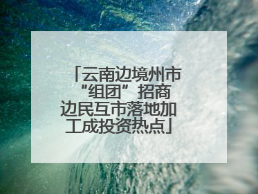 云南边境州市“组团”招商 边民互市落地加工成投资热点