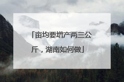 亩均要增产两三公斤，湖南如何做