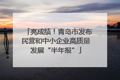 亮成绩！青岛市发布民营和中小企业高质量发展“半年报”