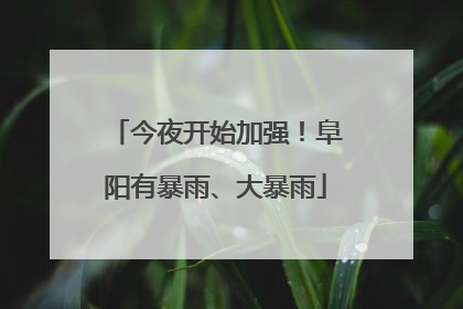 今夜开始加强！阜阳有暴雨、大暴雨