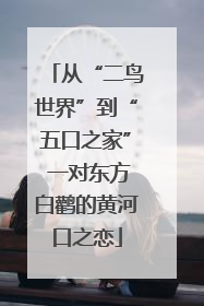 从“二鸟世界”到“五口之家” 一对东方白鹳的黄河口之恋