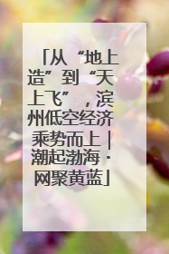 从“地上造”到“天上飞”，滨州低空经济乘势而上｜潮起渤海・网聚黄蓝