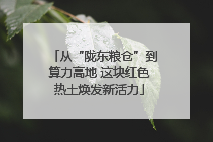 从“陇东粮仓”到算力高地 这块红色热土焕发新活力