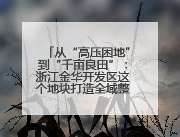 从“高压困地”到“千亩良田”：浙江金华开发区这个地块打造全域整治示范样本