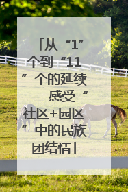 从“1”个到“11”个的延续——感受“社区+园区”中的民族团结情