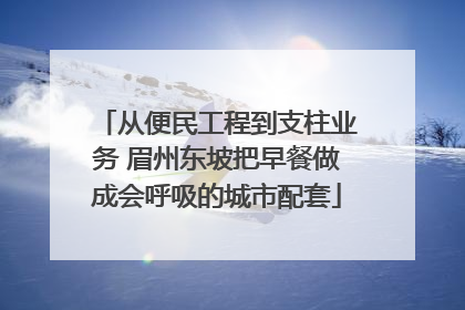 从便民工程到支柱业务 眉州东坡把早餐做成会呼吸的城市配套