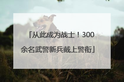 从此成为战士！300余名武警新兵戴上警衔