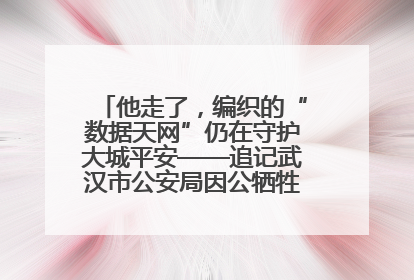 他走了，编织的“数据天网”仍在守护大城平安——追记武汉市公安局因公牺牲民警万松