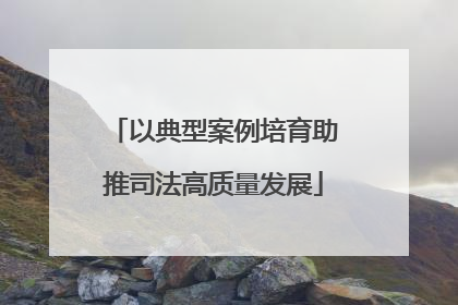 以典型案例培育助推司法高质量发展