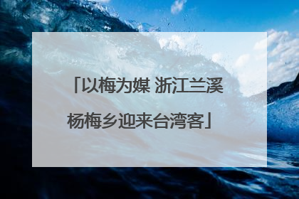 以梅为媒 浙江兰溪杨梅乡迎来台湾客