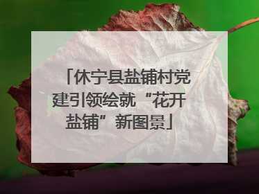 休宁县盐铺村党建引领绘就“花开盐铺”新图景
