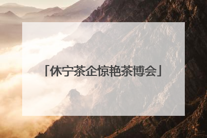 休宁茶企惊艳茶博会