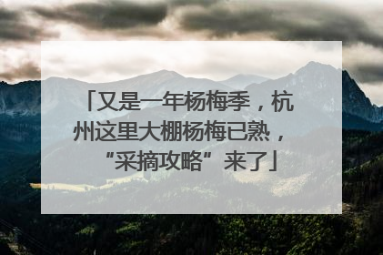 又是一年杨梅季，杭州这里大棚杨梅已熟，“采摘攻略”来了