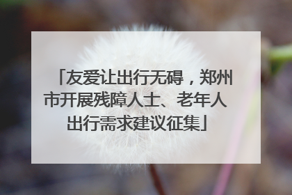 友爱让出行无碍，郑州市开展残障人士、老年人出行需求建议征集