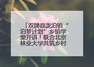 双牌县泷泊镇“泊梦计划”乡镇学堂开讲！联合北京林业大学共筑乡村教育新未来