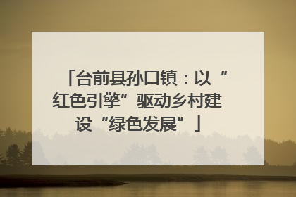 台前县孙口镇：以“红色引擎”驱动乡村建设“绿色发展”