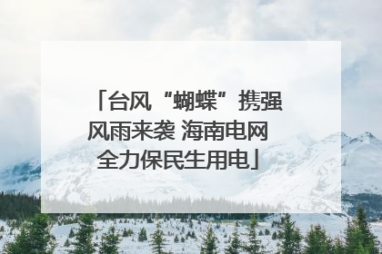 台风“蝴蝶”携强风雨来袭 海南电网全力保民生用电