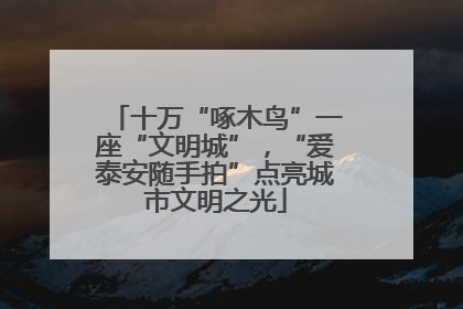 十万“啄木鸟”一座“文明城”，“爱泰安随手拍”点亮城市文明之光