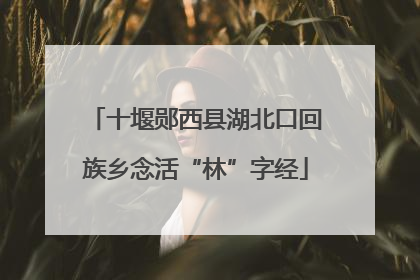 十堰郧西县湖北口回族乡念活“林”字经
