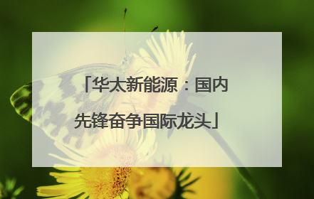 华太新能源：国内先锋奋争国际龙头