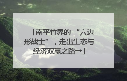 南平竹界的 “六边形战士”，走出生态与经济双赢之路→