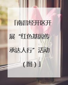 南昌经开区开展“红色基因传承达人行”活动（图）