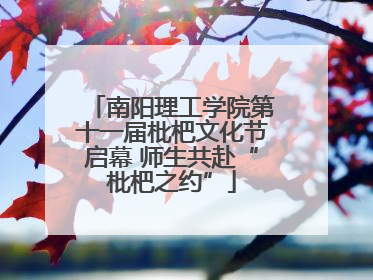 南阳理工学院第十一届枇杷文化节启幕 师生共赴“枇杷之约”