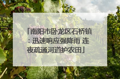 南阳市卧龙区石桥镇：迅速响应强降雨 连夜疏通河道护农田