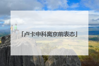 卢卡申科离京前表态