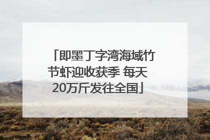 即墨丁字湾海域竹节虾迎收获季 每天20万斤发往全国