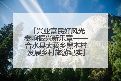 兴业富民好风光 奏响振兴新乐章——合水县太莪乡黑木村发展乡村旅游纪实