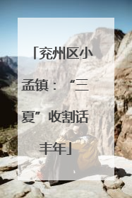 兖州区小孟镇：“三夏”收割话丰年