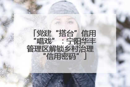 党建“搭台”信用“唱戏”：宁阳华丰管理区解锁乡村治理“信用密码”
